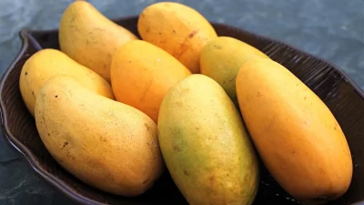 5 Cara Menyimpan Mangga Agar Lebih Cepat Matang dan Tidak Busuk