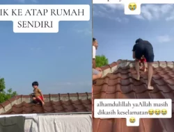 Seorang Anak Naik ke Atas Genteng, Terinspirasi dari Animasi Ayam Jago di YouTube