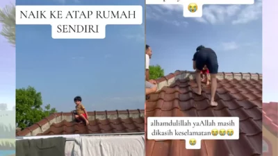 Seorang Anak Naik ke Atas Genteng, Terinspirasi dari Animasi Ayam Jago di YouTube