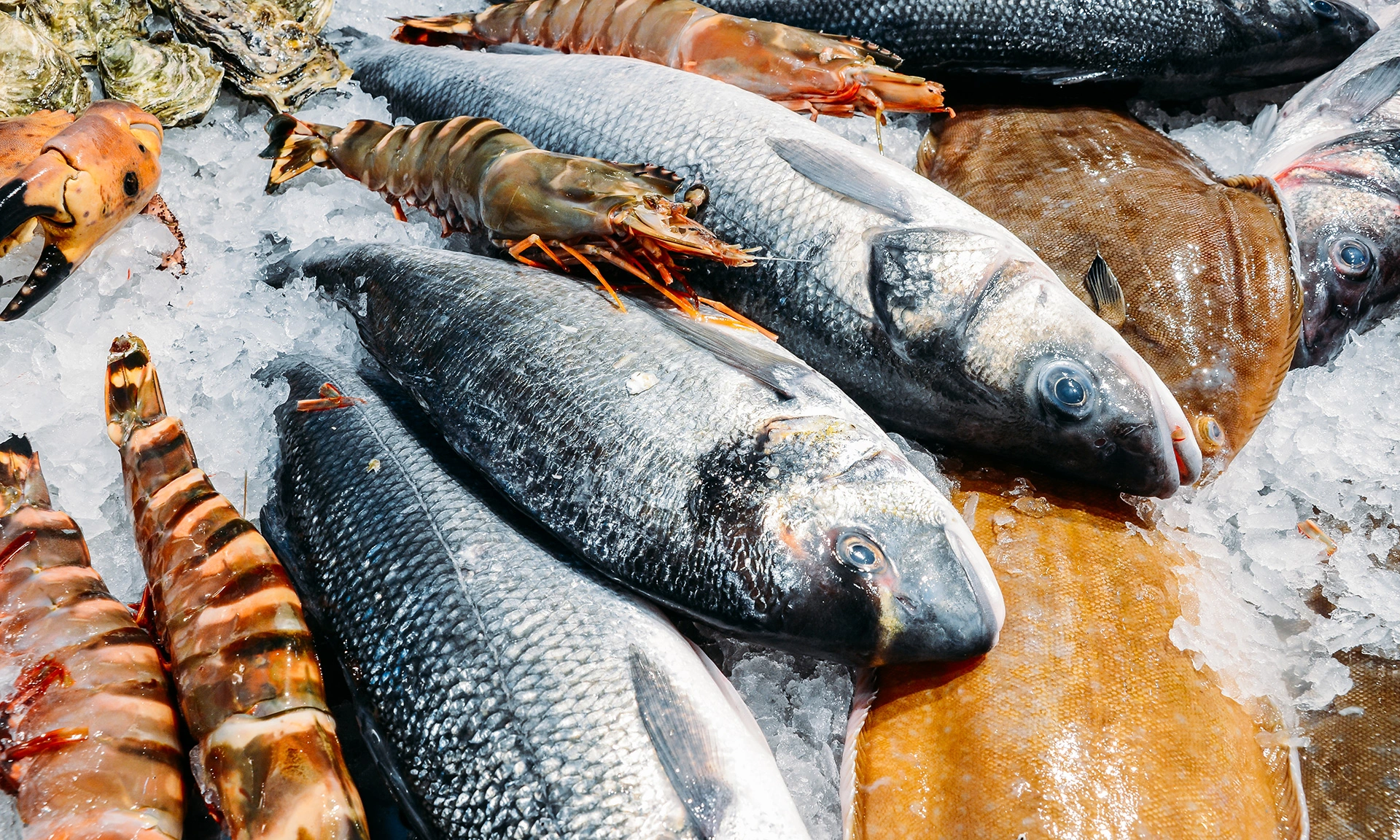 5 Bahan Makanan yang Terancam Langka Akibat Perubahan Iklim