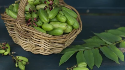 Belimbing Sayur: Buah Mungil dengan Segudang Manfaat untuk Kesehatan dan Kecantikan