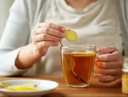 5 Minuman Ajaib untuk Mengembalikan Stamina Pasca Mudik Lebaran