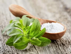 Benarkah Gula Stevia Lebih Aman dari Gula Biasa?